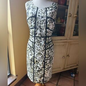 Ann Taylor dress